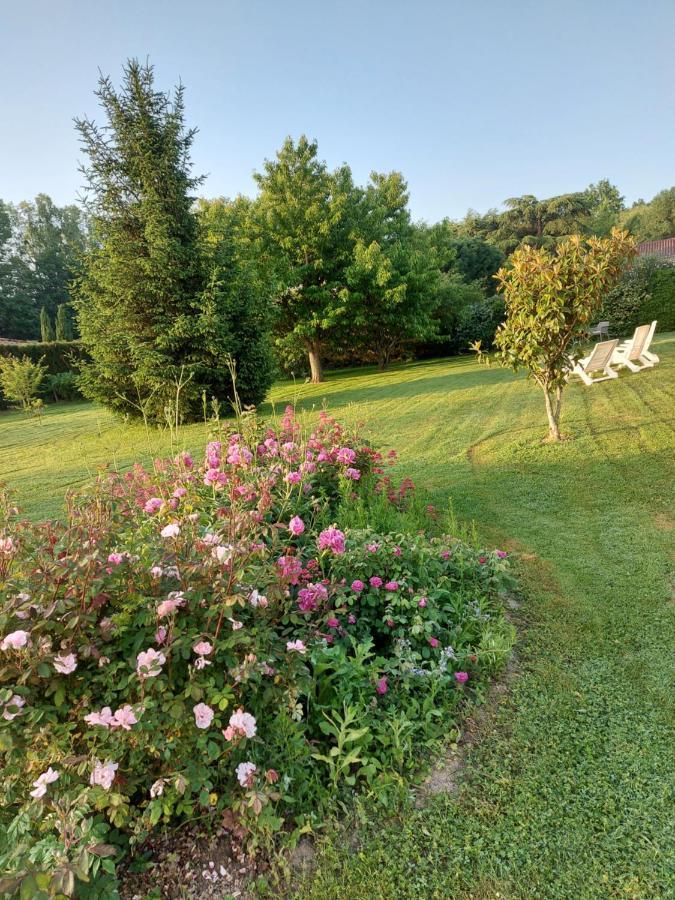 Hotel Le Moulin De L'Etang Chaneins Exteriér fotografie