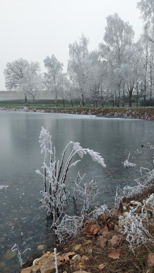 Hotel Le Moulin De L'Etang Chaneins Exteriér fotografie